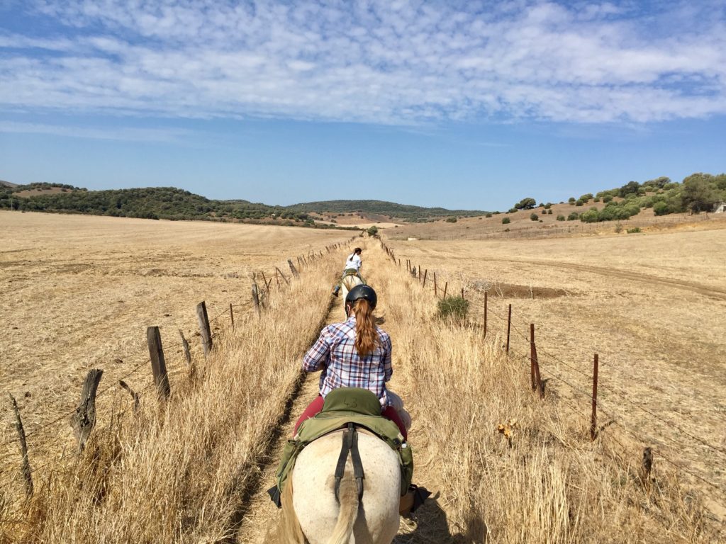 Andalusien Wanderreiten Pferde Ausreiten Rancho La Paz