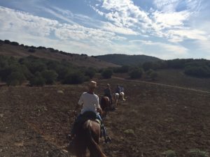 Andalusien Wanderreiten Pferde Ausreiten Rancho La Paz