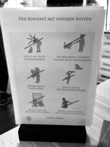 Katzencafe Hamburg Regeln