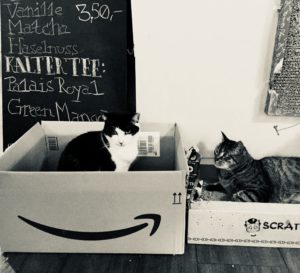 Katzencafe Hamburg Katze schwarz weiß
