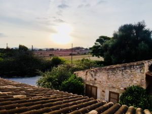 Malle Mallorca Palma Insel Spanien Urlaub