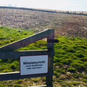 Herausforderung Maislabyrinth