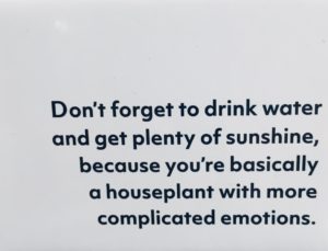 English funny quote language Schellenaffe bellmonkey monkey with bells