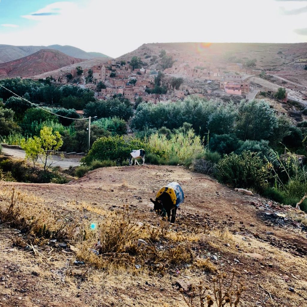 Marrakesh Marokko Atlasgebirge Suqs