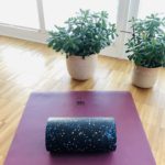 Fett isoliert Fitness Zuhause Corona Heimtrainer Yoga Blackroll