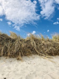 Heimreise Deutschland Deutschlandtour Urlaub daheim Strand Ostsee Sommer Natur