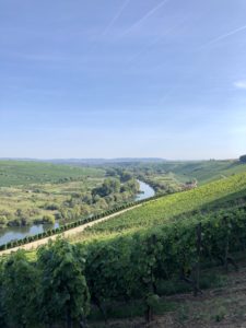 Heimreise Deutschland Deutschlandtour Urlaub daheim Strand Ostsee Sommer Natur Franken Weinberg Main