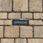 Sprache einfache Sprache Ökozid Klimakrise
